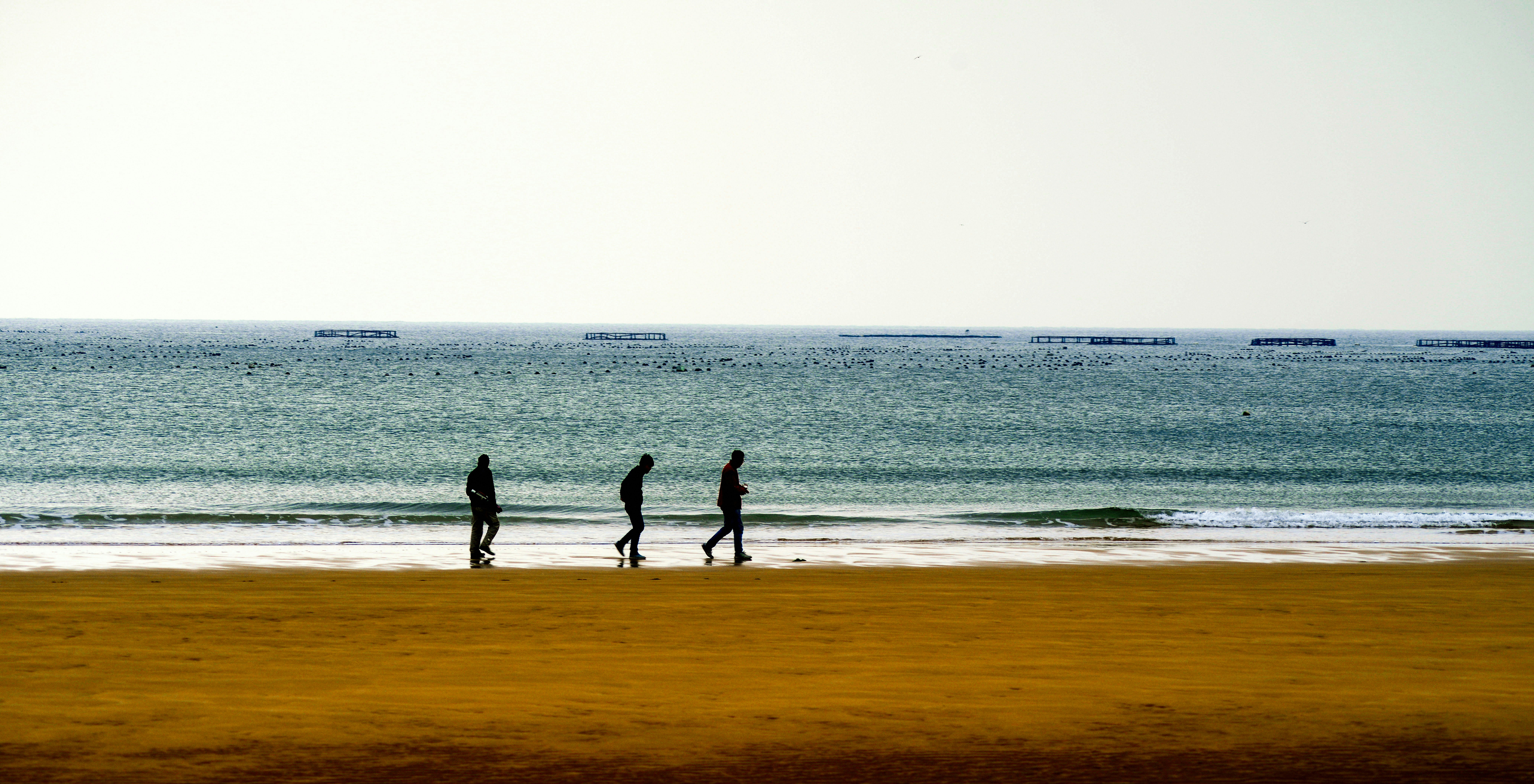 3 people walking on beach during daytime
